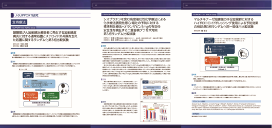 成果概要報告書_04